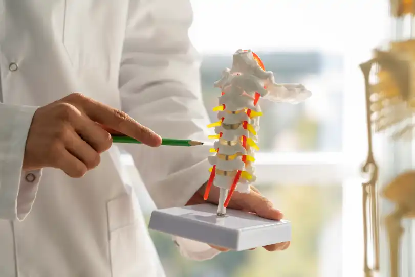 “Meu osso ficou fraco na menopausa”: Por que isso acontece?